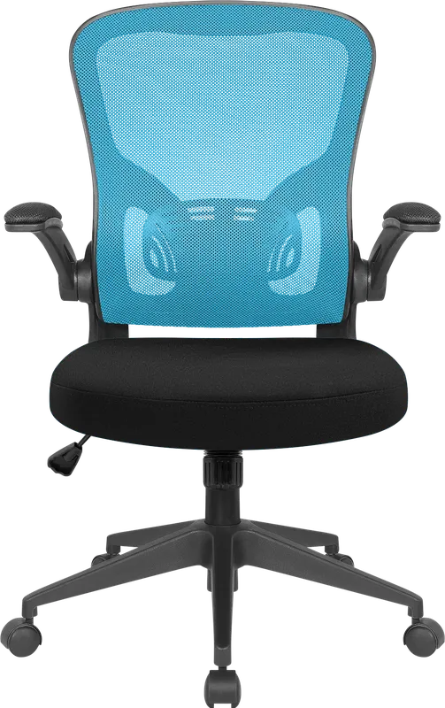 Defender - Office chair Akvilon