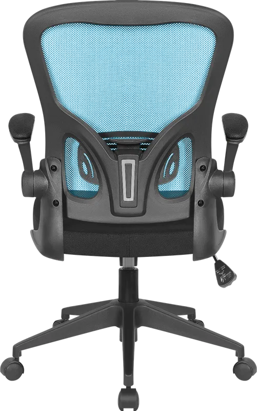 Defender - Office chair Akvilon