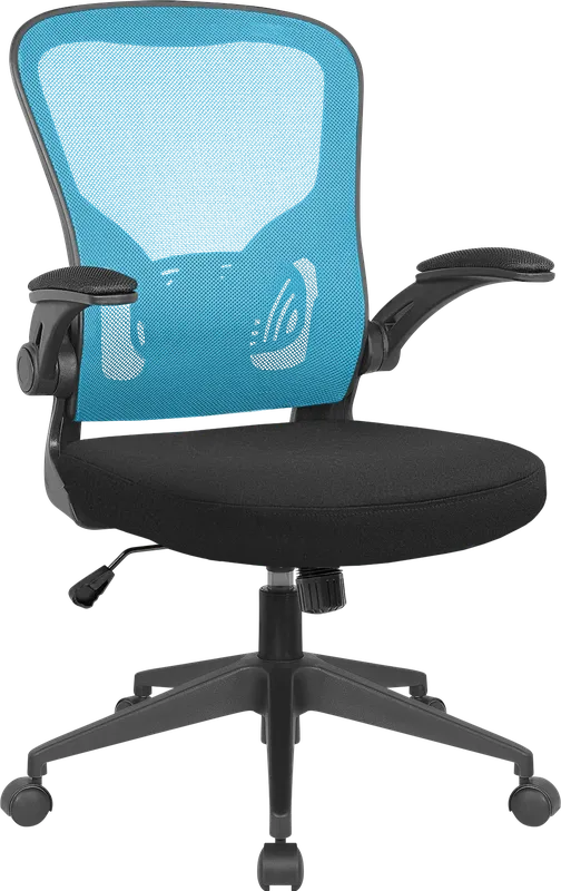 Defender - Office chair Akvilon