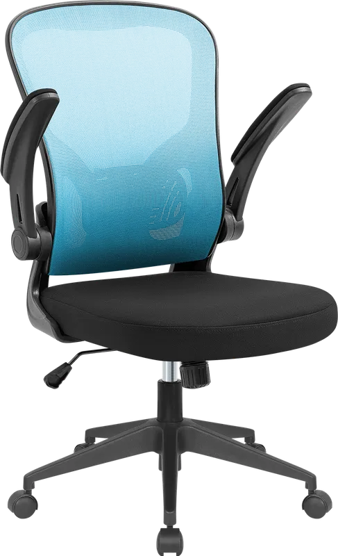 Defender - Office chair Akvilon